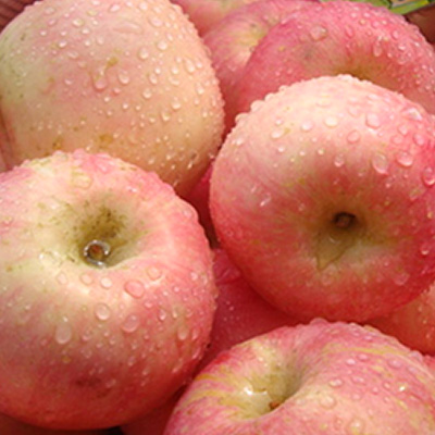 紅富士蘋(píng)果