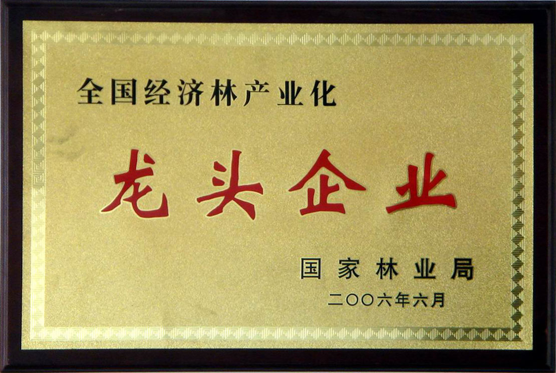 2006年國(guó)家林業(yè)局龍頭企業(yè)