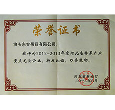 2012年省林業(yè)重點(diǎn)龍頭企業(yè)證書(shū)